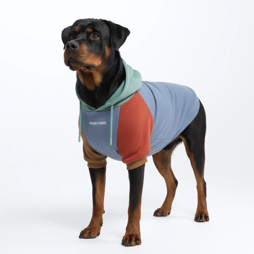 Color Block Dog Hoodies - Image 21