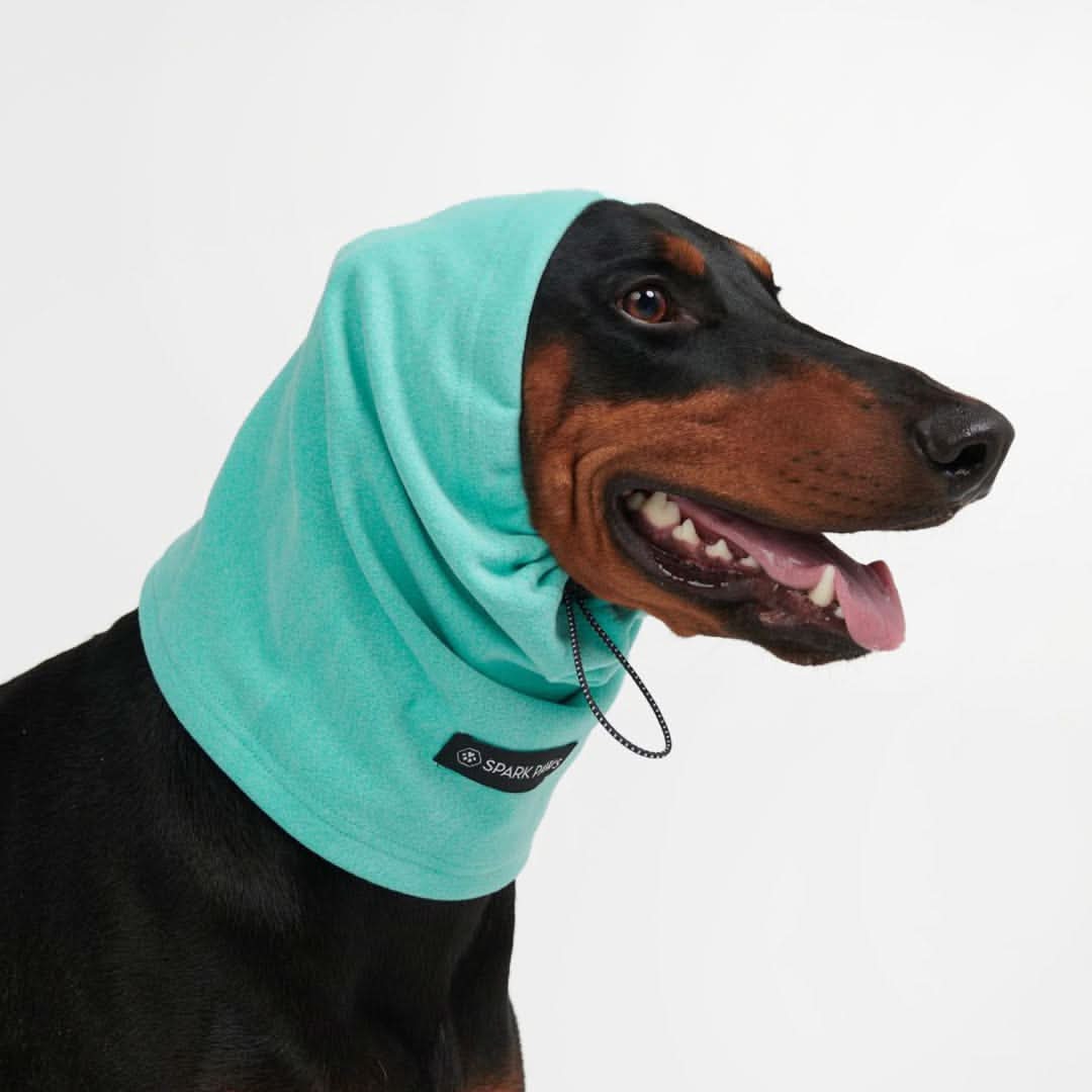 Anxiety Calming Dog Earmuff Protector - Image 10