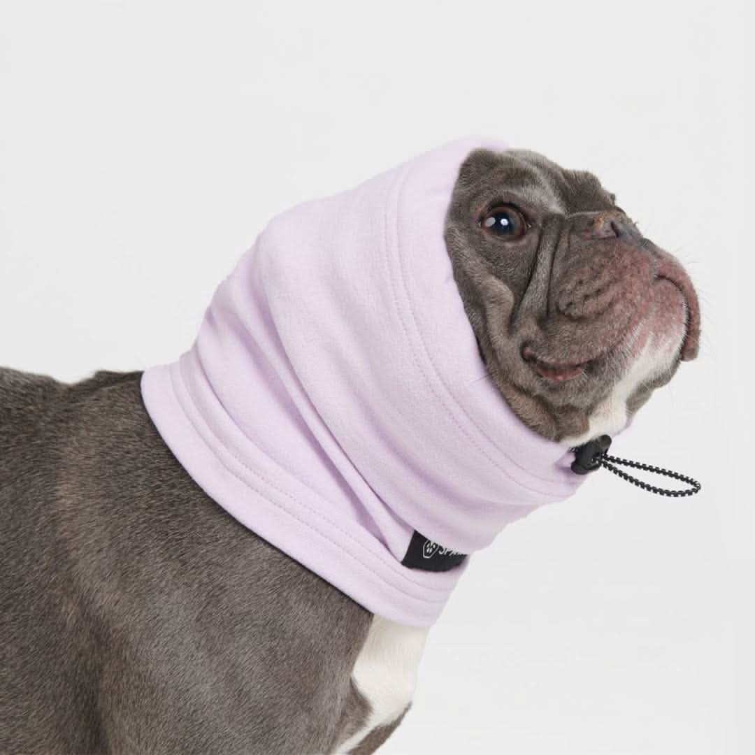Anxiety Calming Dog Earmuff Protector - Image 4