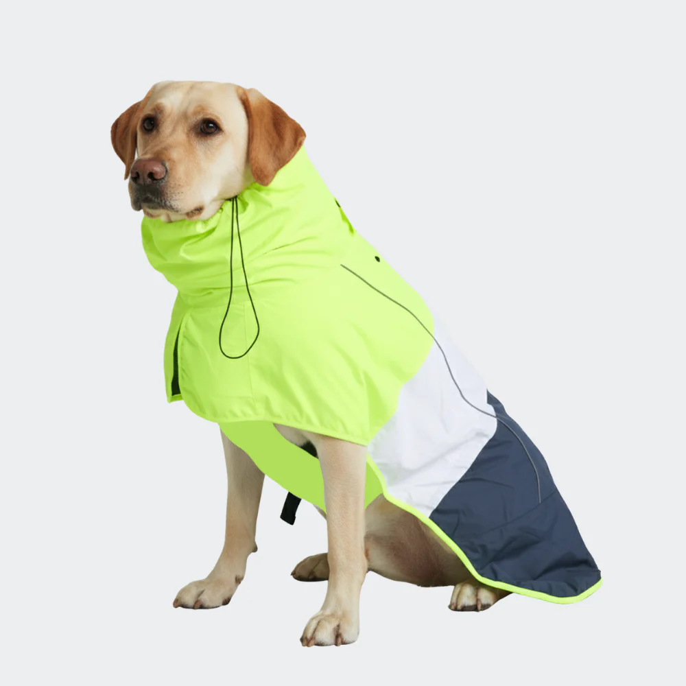 Breatheshield™ Dog Raincoat  - Lime White Navy - Image 5