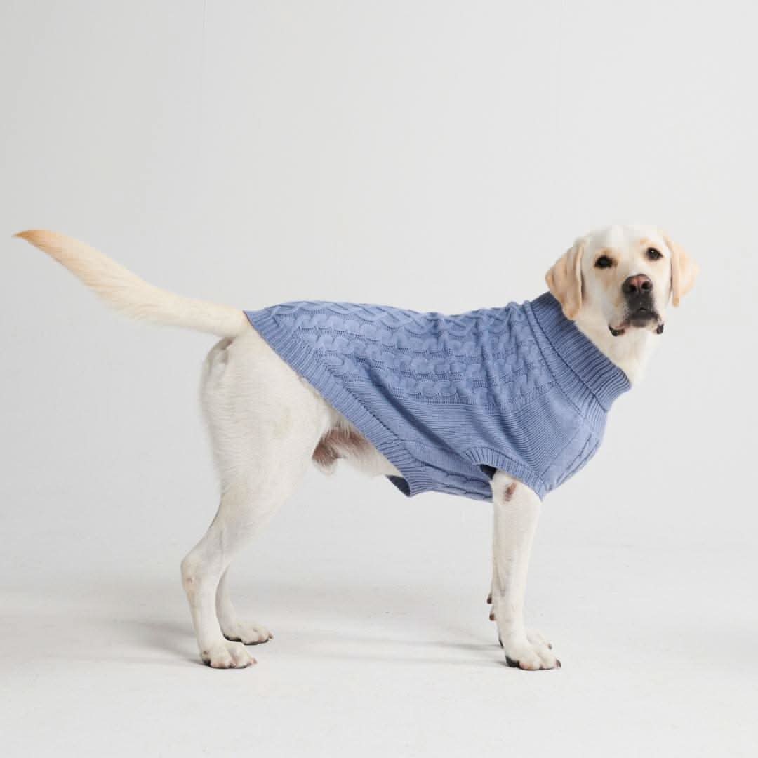 Cable Knit Dog Sweater - Blue - Image 3