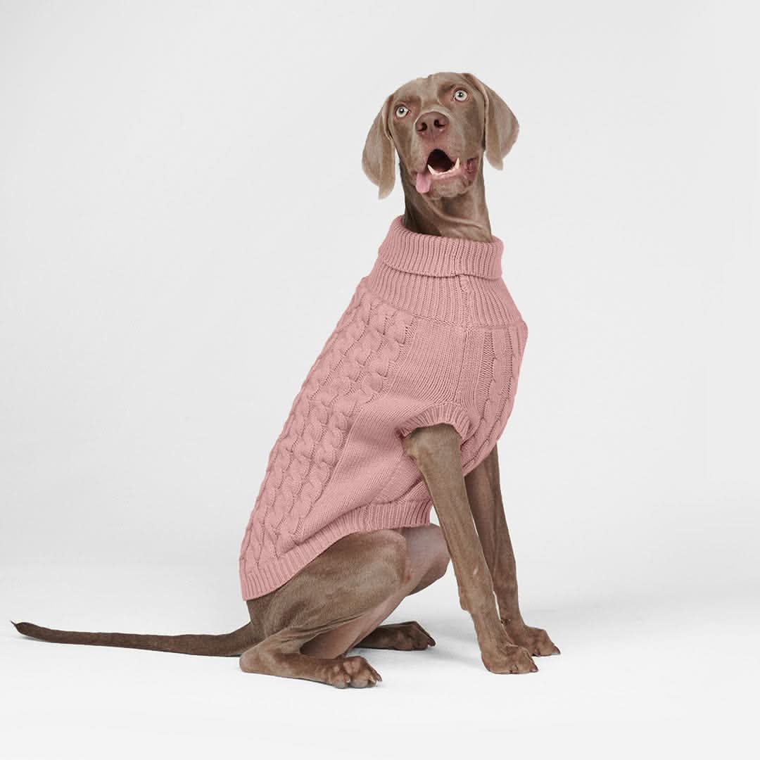Cable Knit Dog Sweater - Pink - Image 4