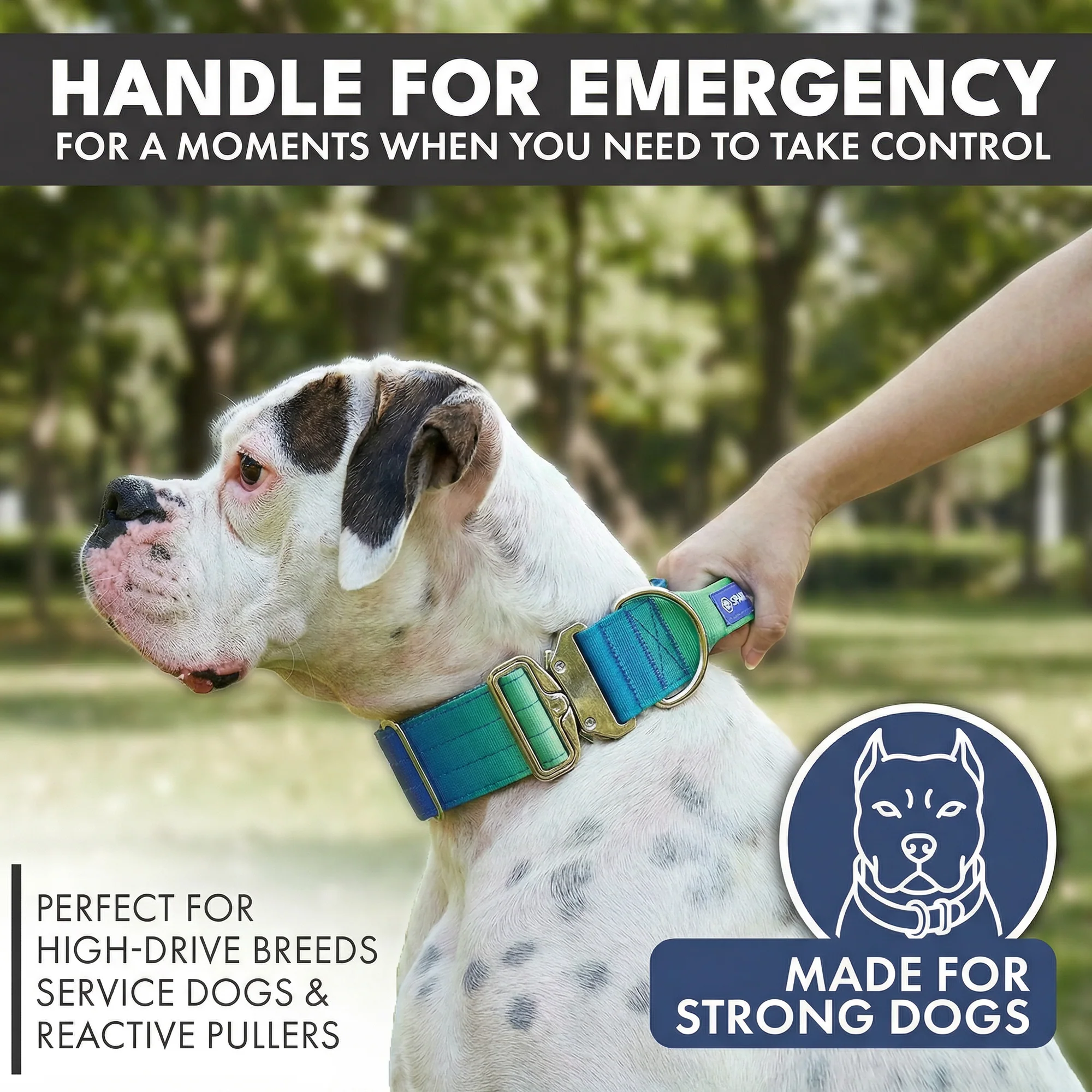 Comfort Control Collar and Multipurpose Leash Sets - Image 16