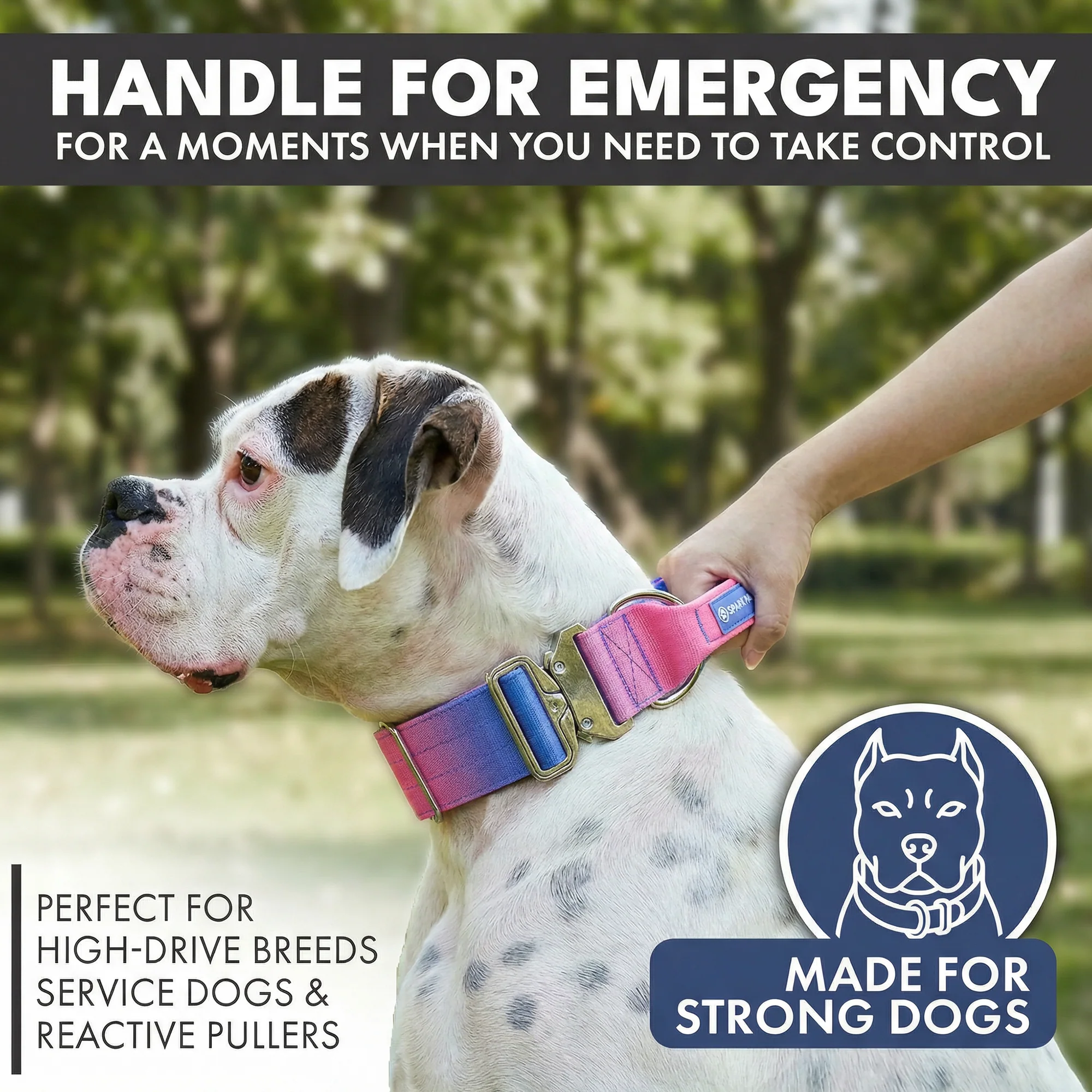 Comfort Control Collar and Multipurpose Leash Sets - Image 37