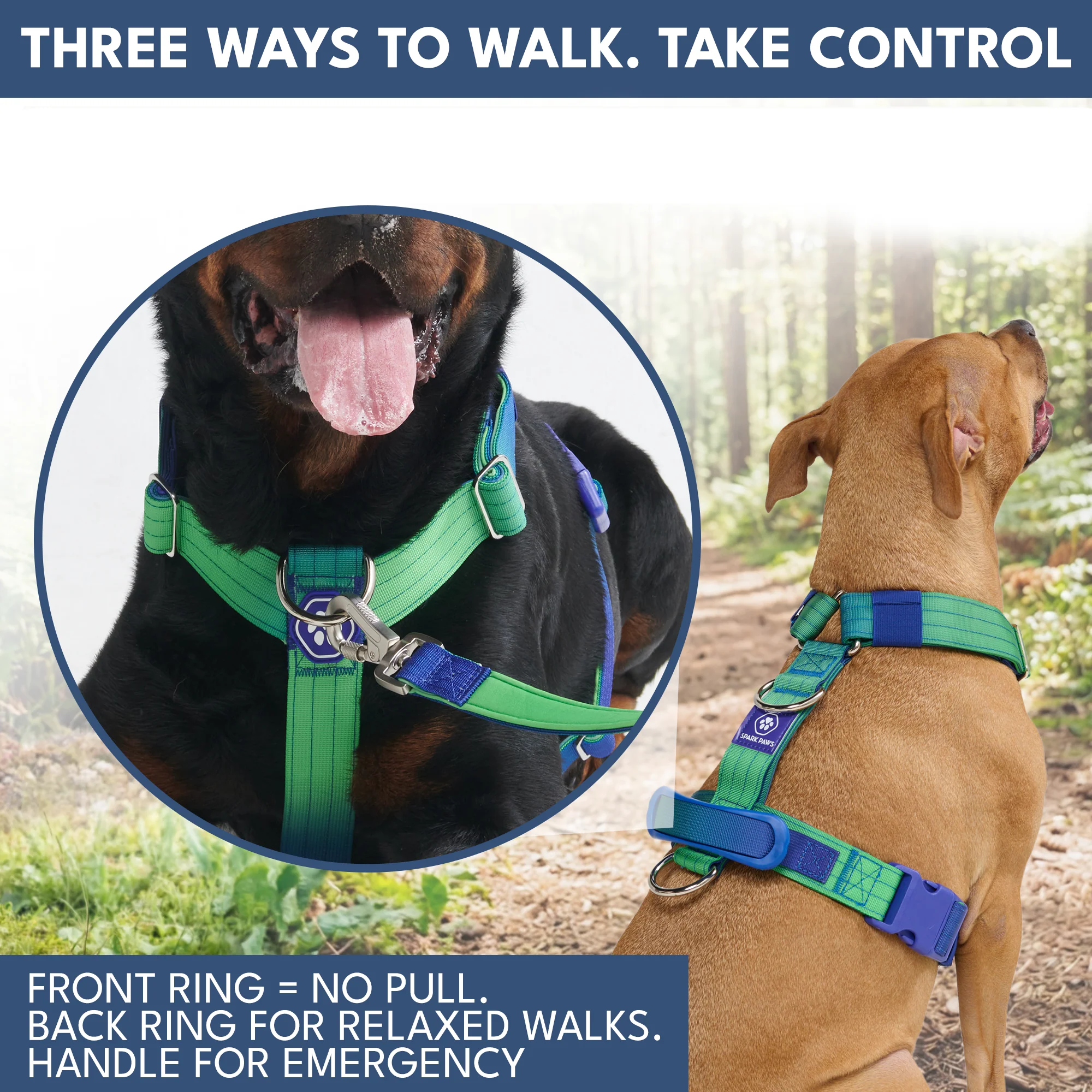 Comfort Control No-Pull Dog Harness and Multipurpose Leash Set - Lime Wave - Image 4