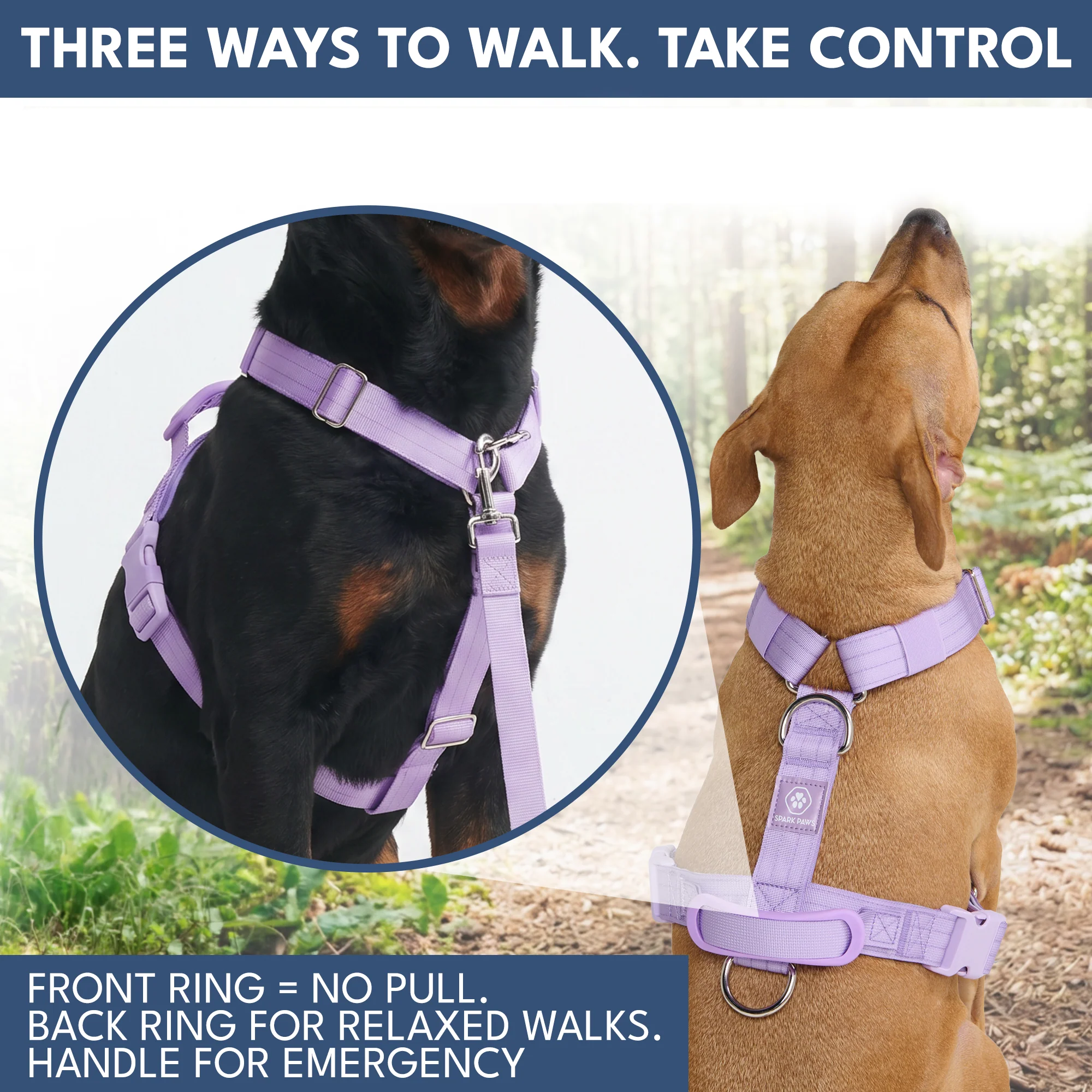 Comfort Control No-Pull Dog Harness and Multipurpose Leash Set - Purple - Image 4