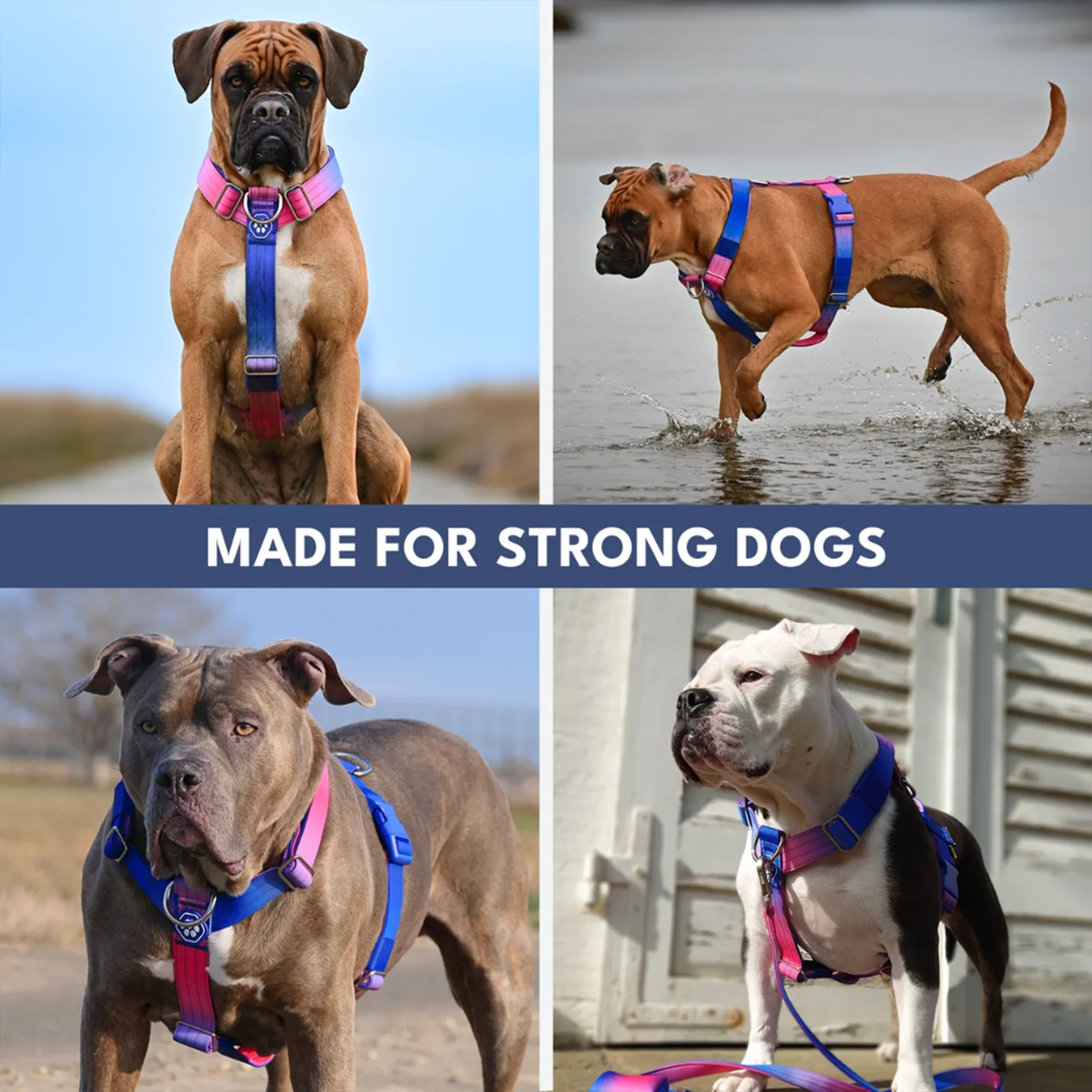 Comfort Control No-Pull Dog Harness and Multipurpose Leash Set - Snow Cone - Image 6
