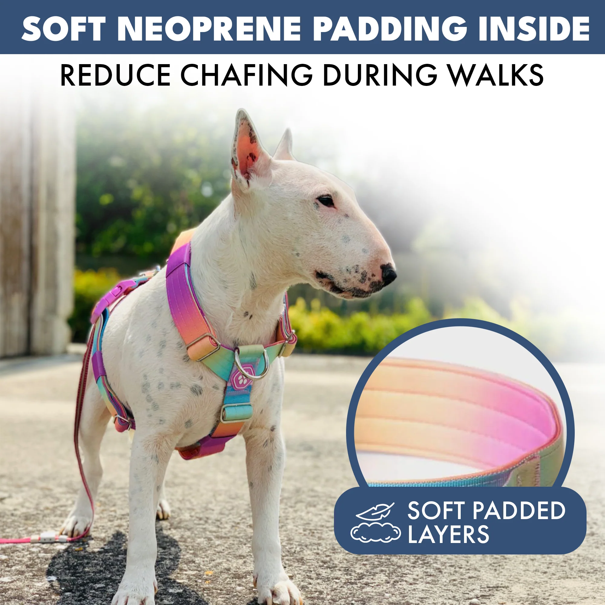 Comfort Control No-Pull Dog Harnesses - Image 13