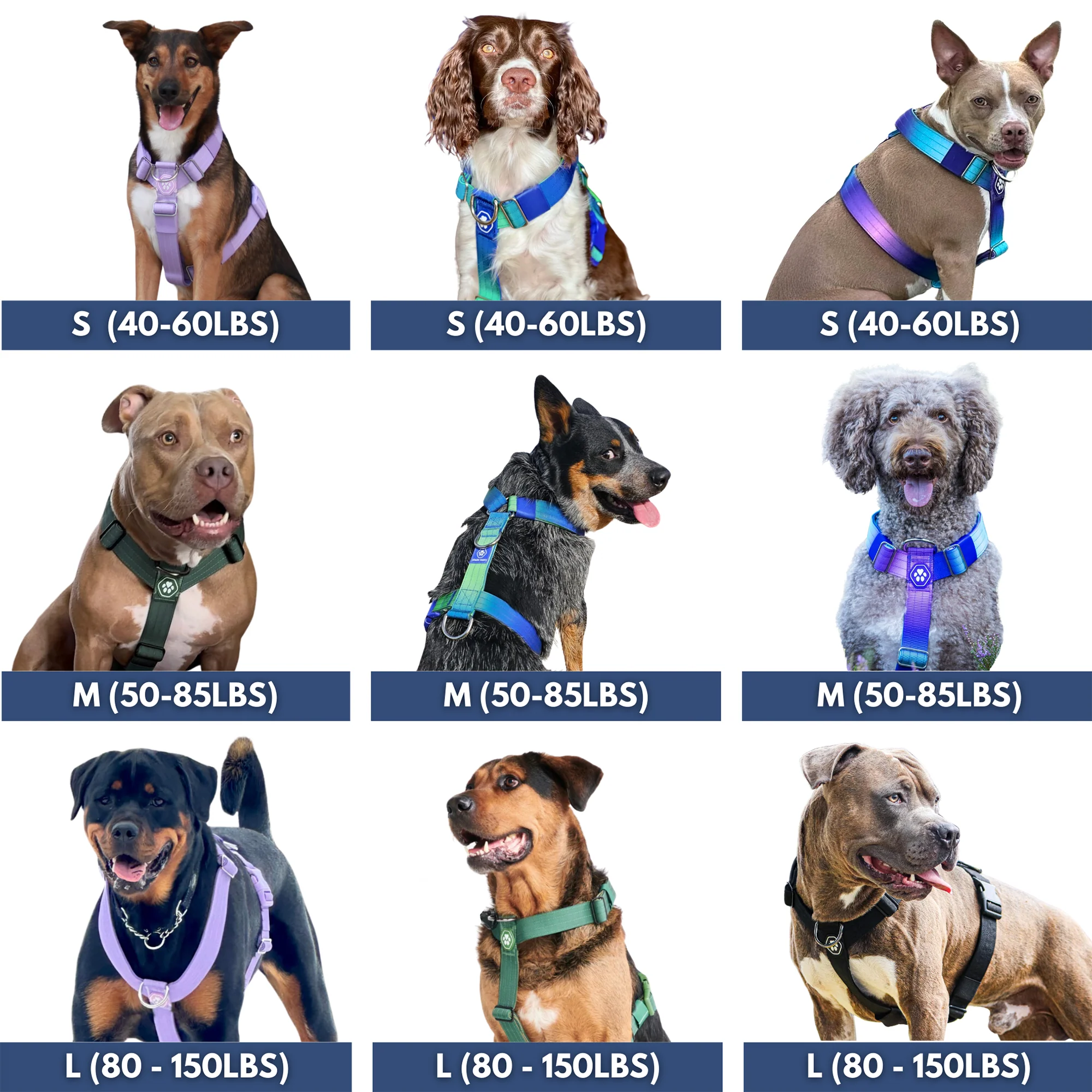 Comfort Control No-Pull Dog Harnesses - Image 22