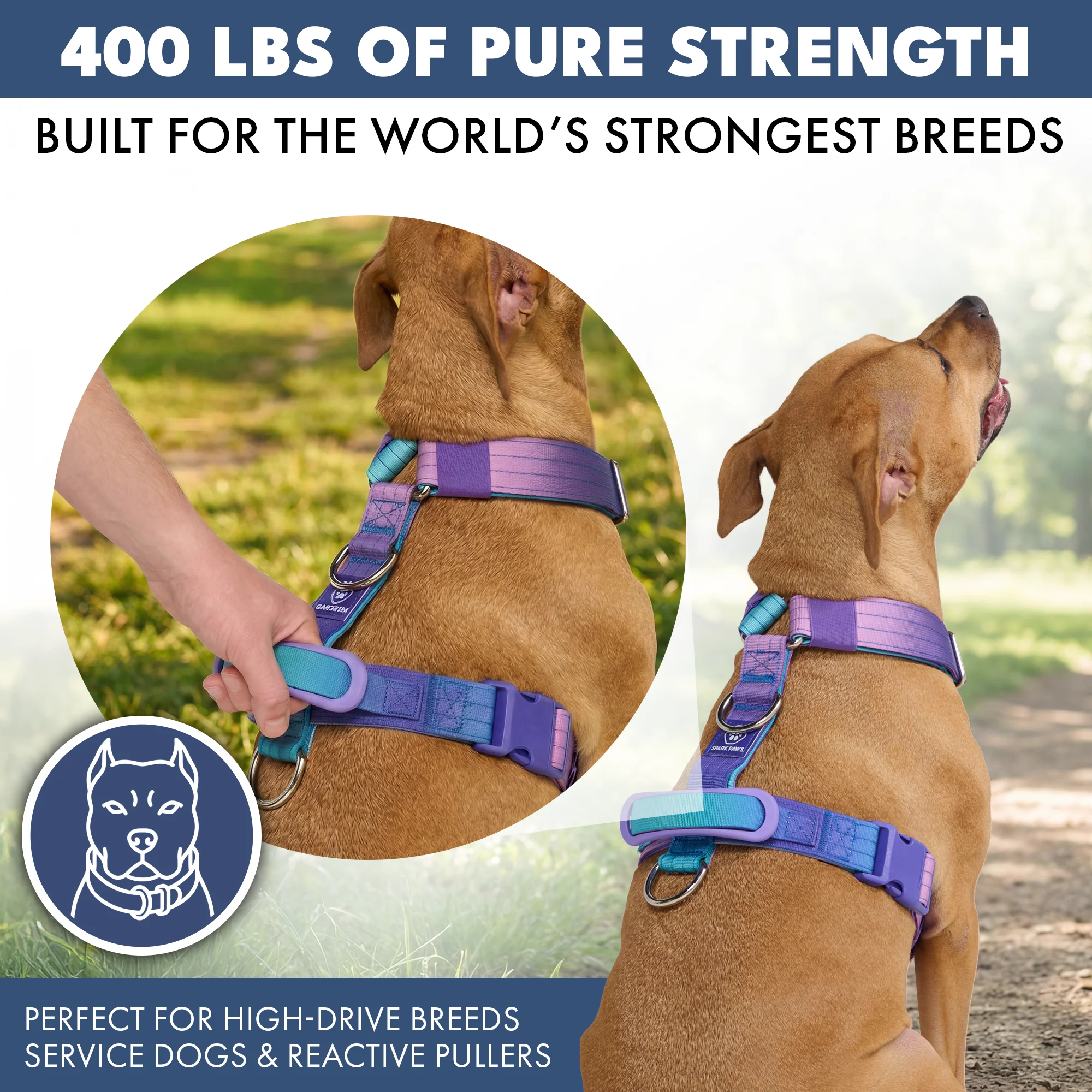 Comfort Control No-Pull Dog Harness Set - 90s Retro - Image 4