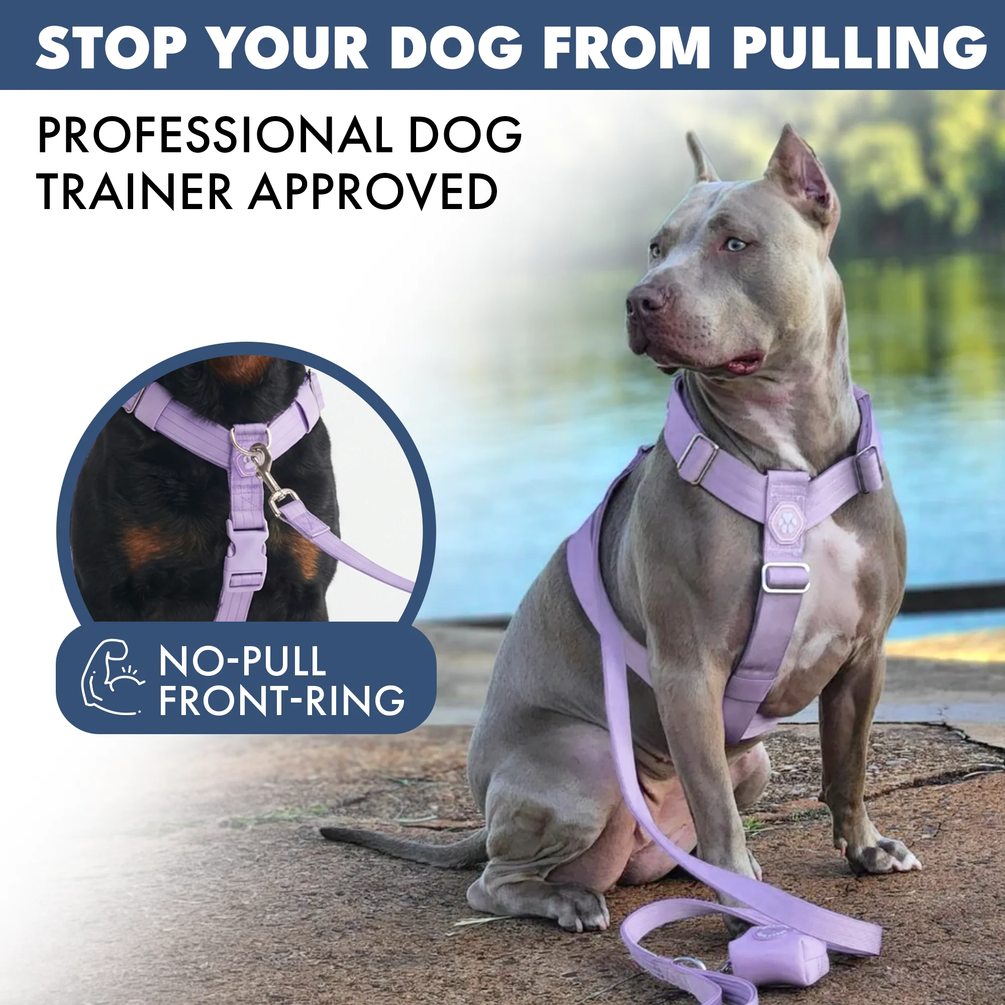 Comfort Control™ No-Pull Dog Harness - Lilac - Image 3