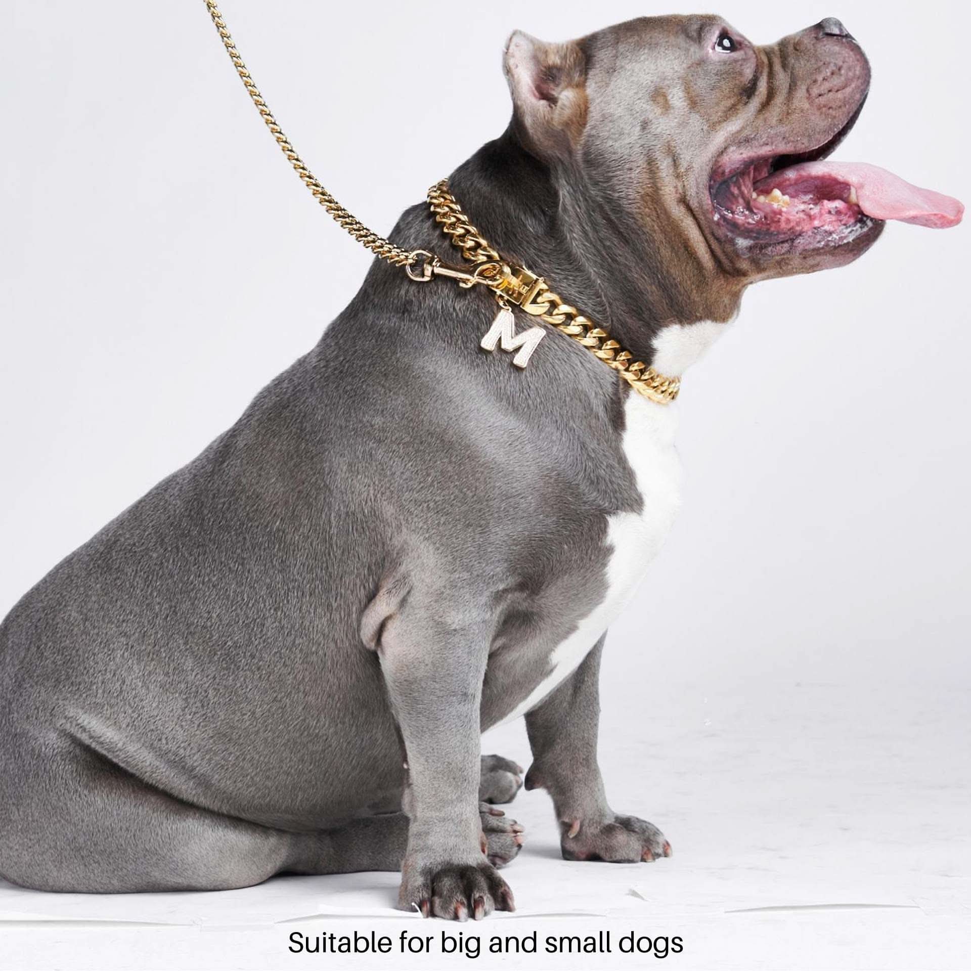 Cuban Link 20mm Gold Chain Collar - Image 4