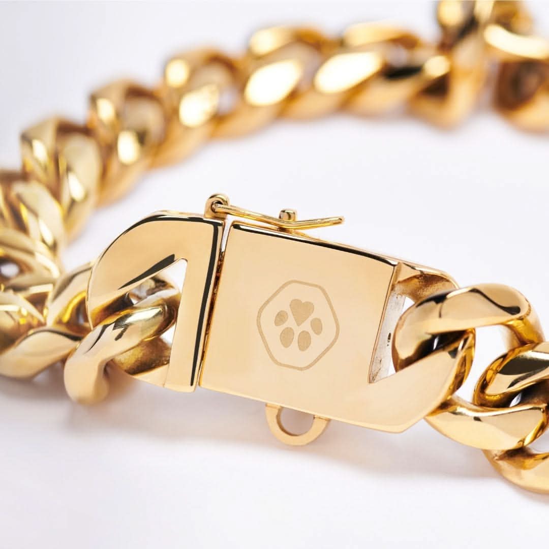 Gold Chain Dog Collar 20mm - Image 6