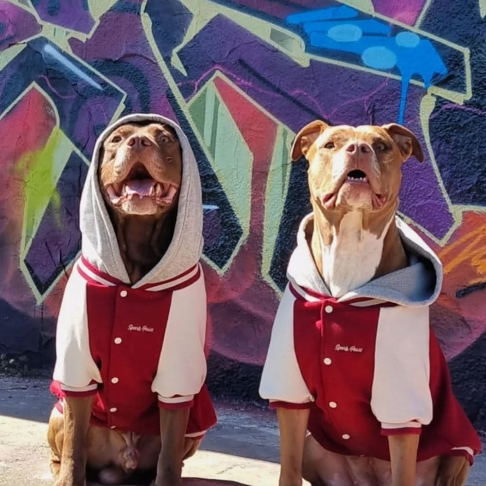Dog Varsity Jacket - Red - Image 4