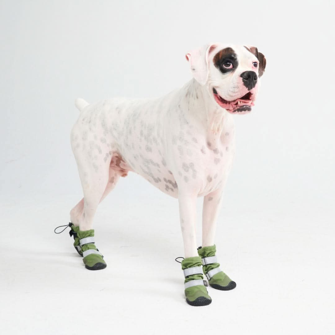 Dog Rainboots, Waterproof Dog Shoes - Image 14