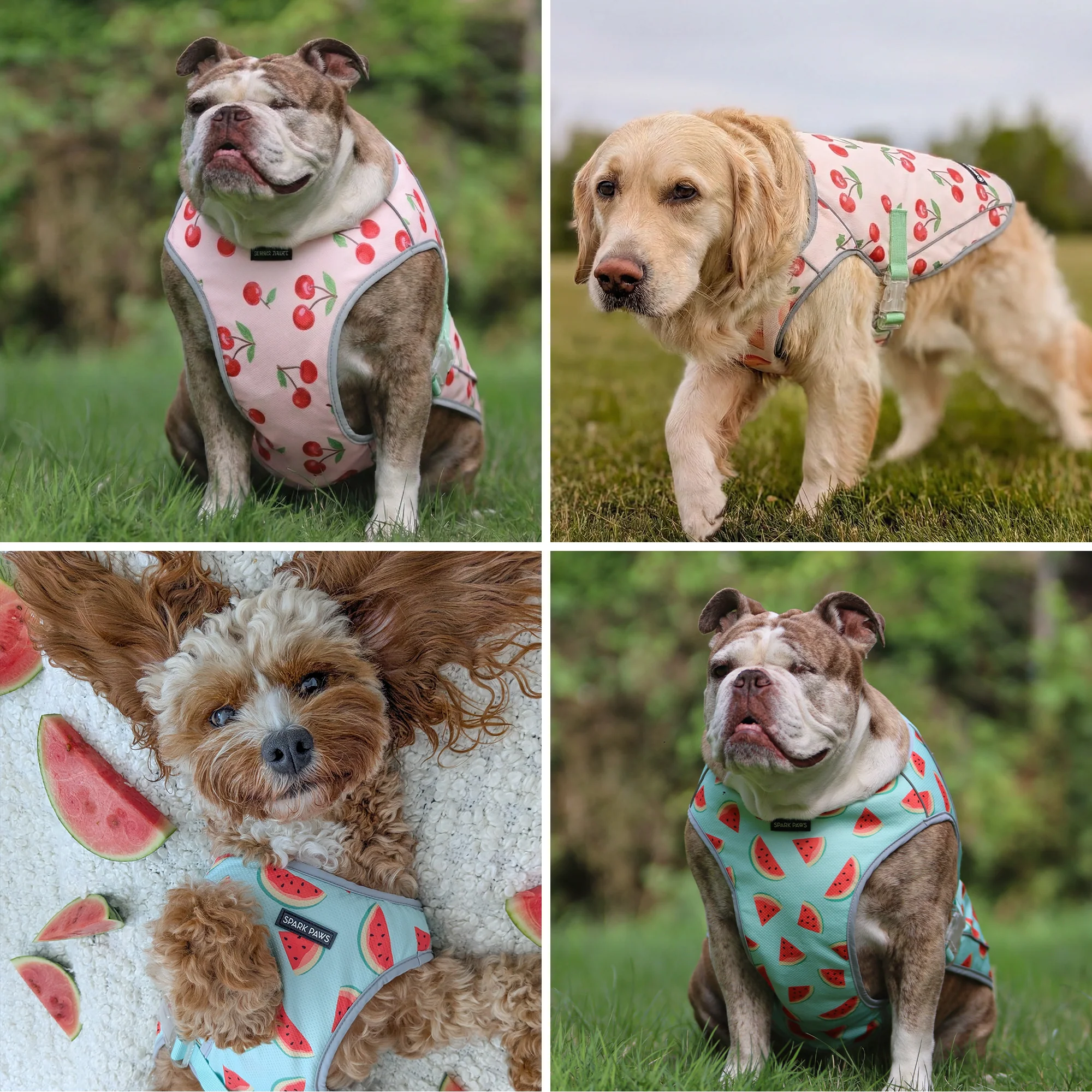 Chilltech™ Dog Cooling Vest 2 Pack - Image 30