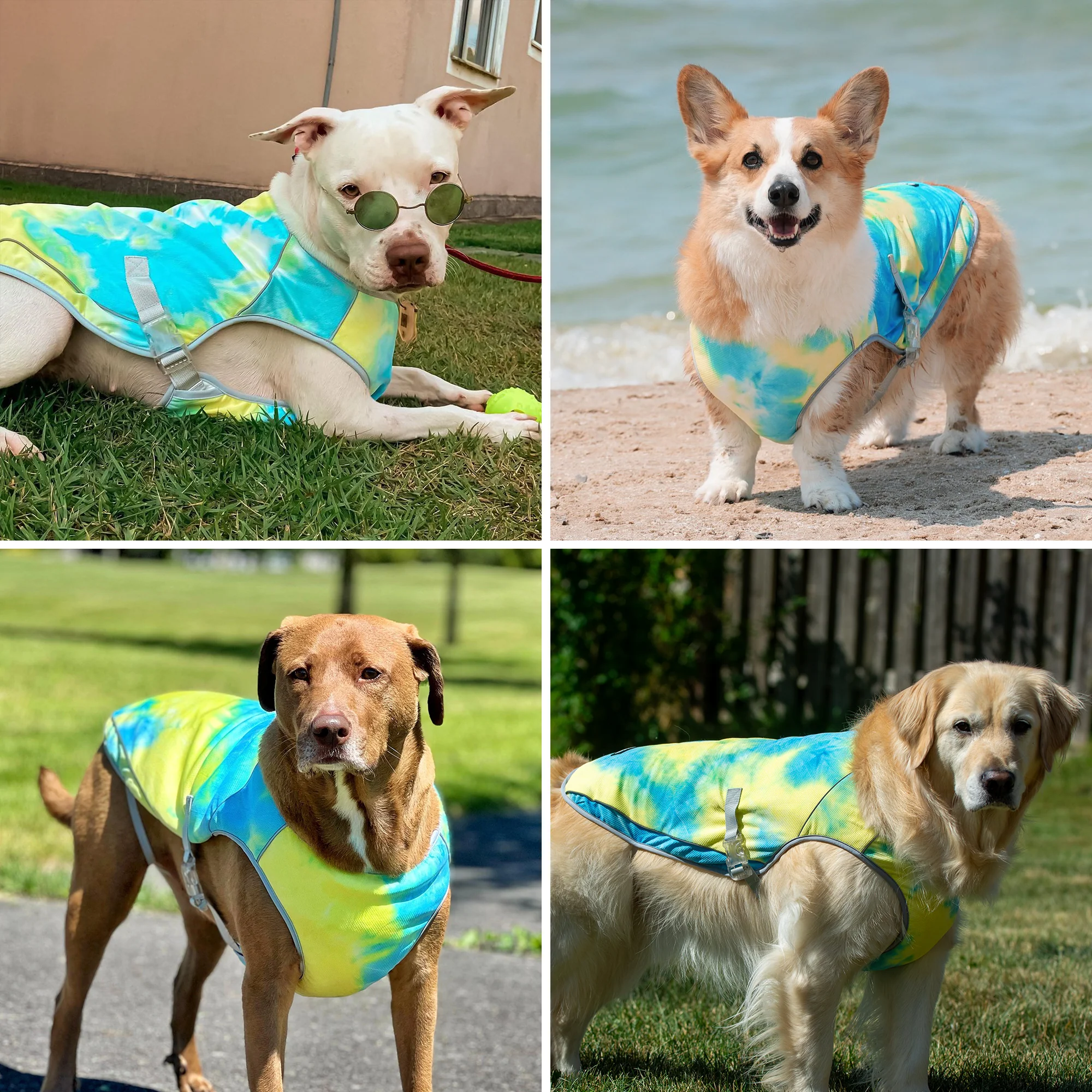 Chilltech™ Dog Cooling Vests - Image 31