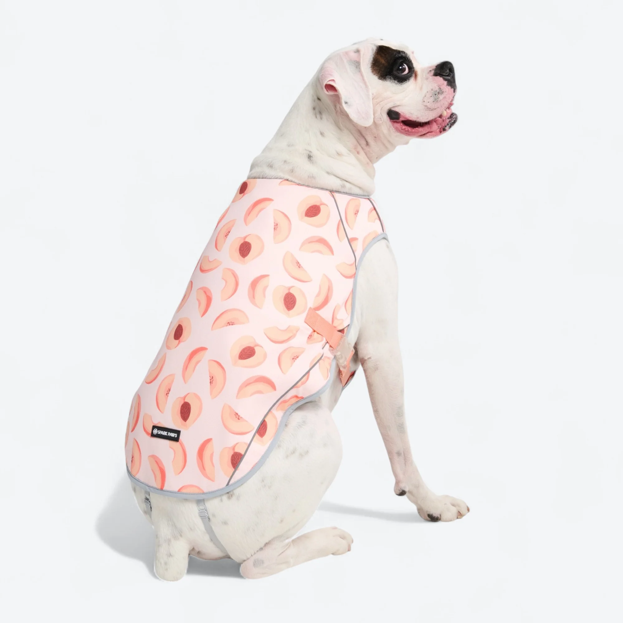 Chilltech™ Dog Cooling Vests - Image 78