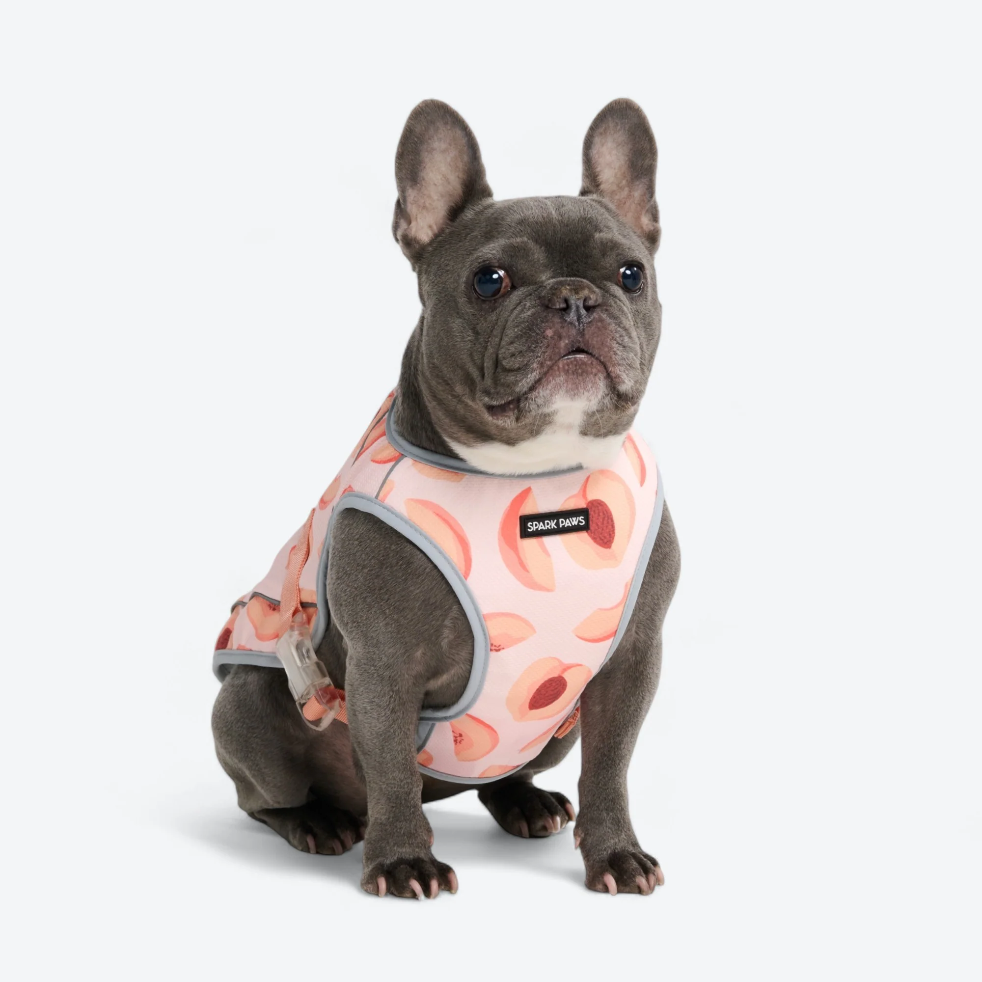 Chilltech™ Dog Cooling Vests - Image 80
