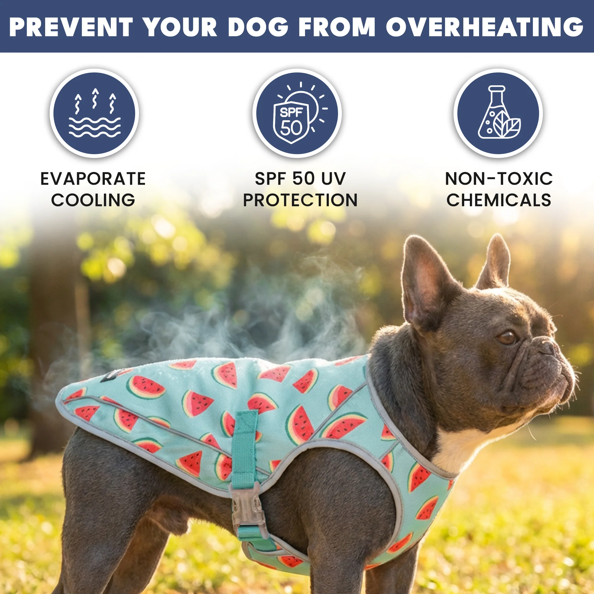 Dog Cooling Vest - Watermelon - Image 5