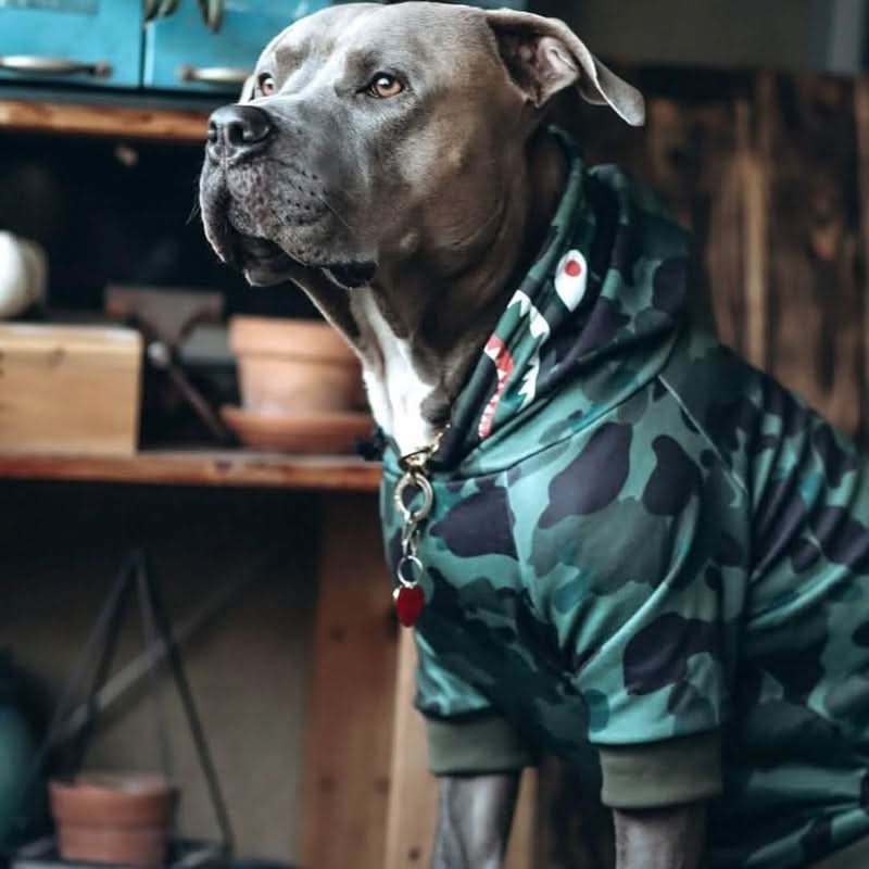 Dog Hoodie Prints - Image 73