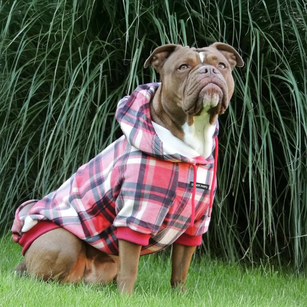 Red Plaid Dog Hoodie - Image 12