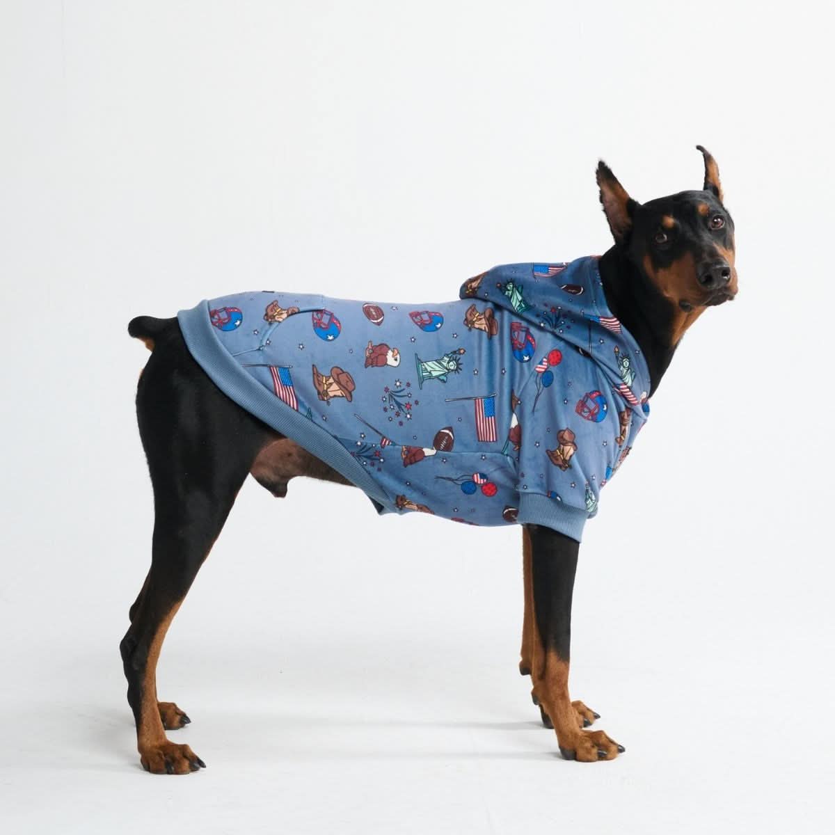 Around the World Dog Hoodies - Image 15