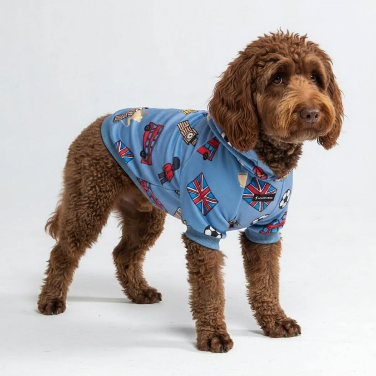 Around the World Dog Hoodies - Image 31