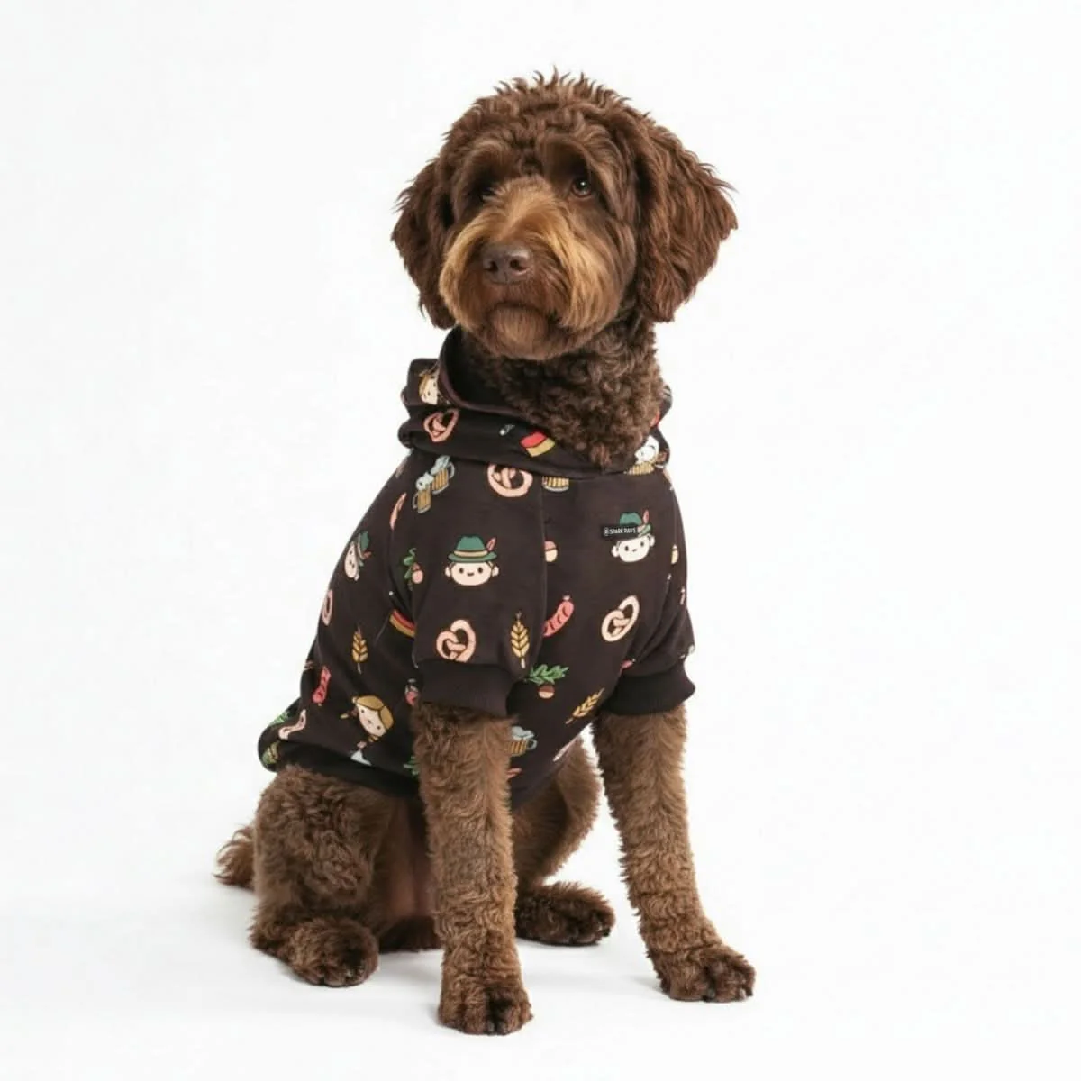 Around the World Dog Hoodies - Image 43