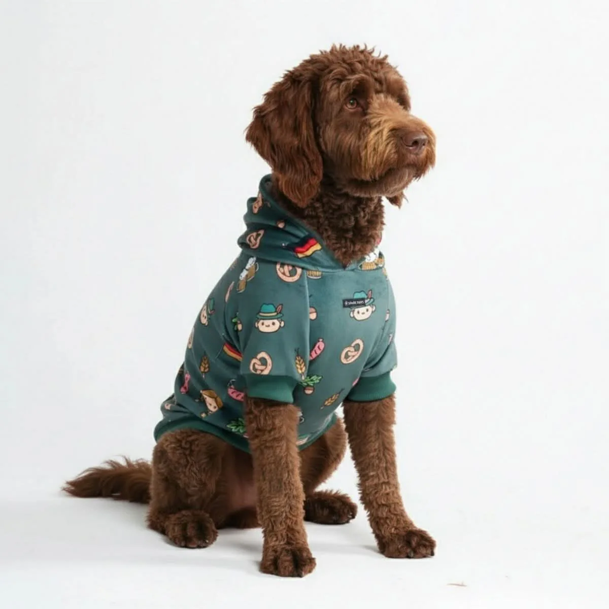 Around the World Dog Hoodies - Image 51