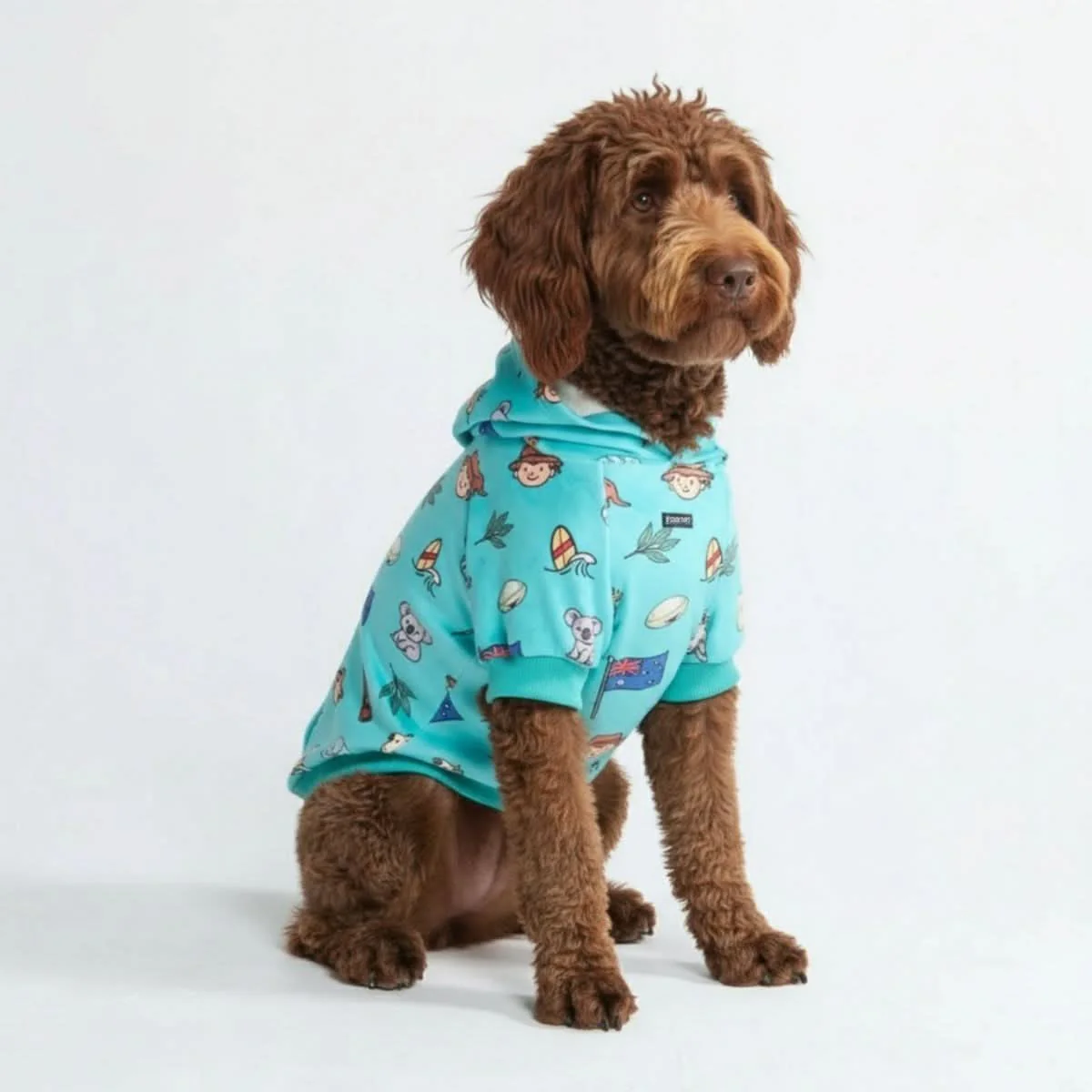 Around the World Dog Hoodies - Image 58