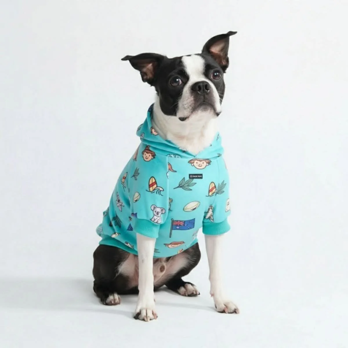 Around the World Dog Hoodies - Image 59