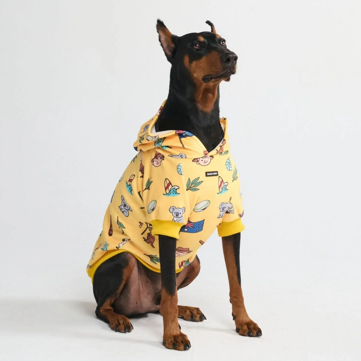 Around the World Dog Hoodies - Image 70