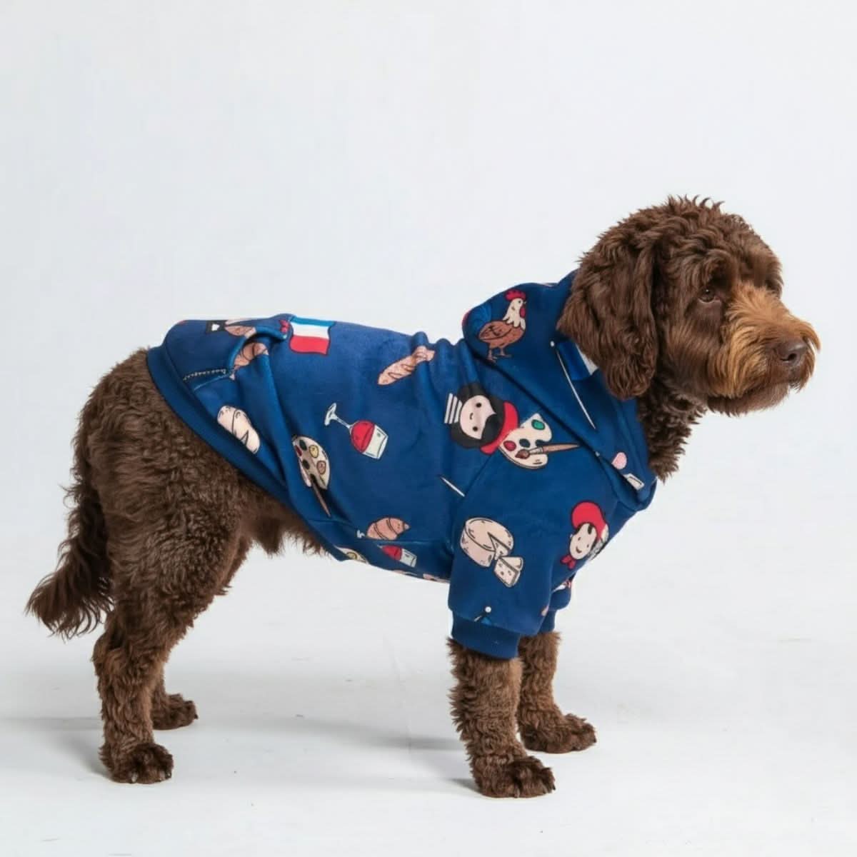 Around the World Dog Hoodies - Image 75