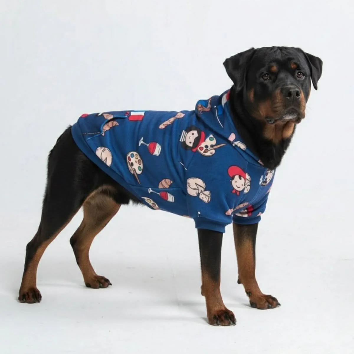 Around the World Dog Hoodies - Image 76