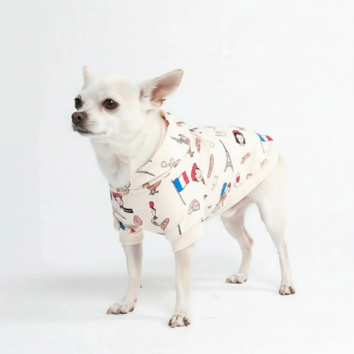 Around the World Dog Hoodies - Image 84