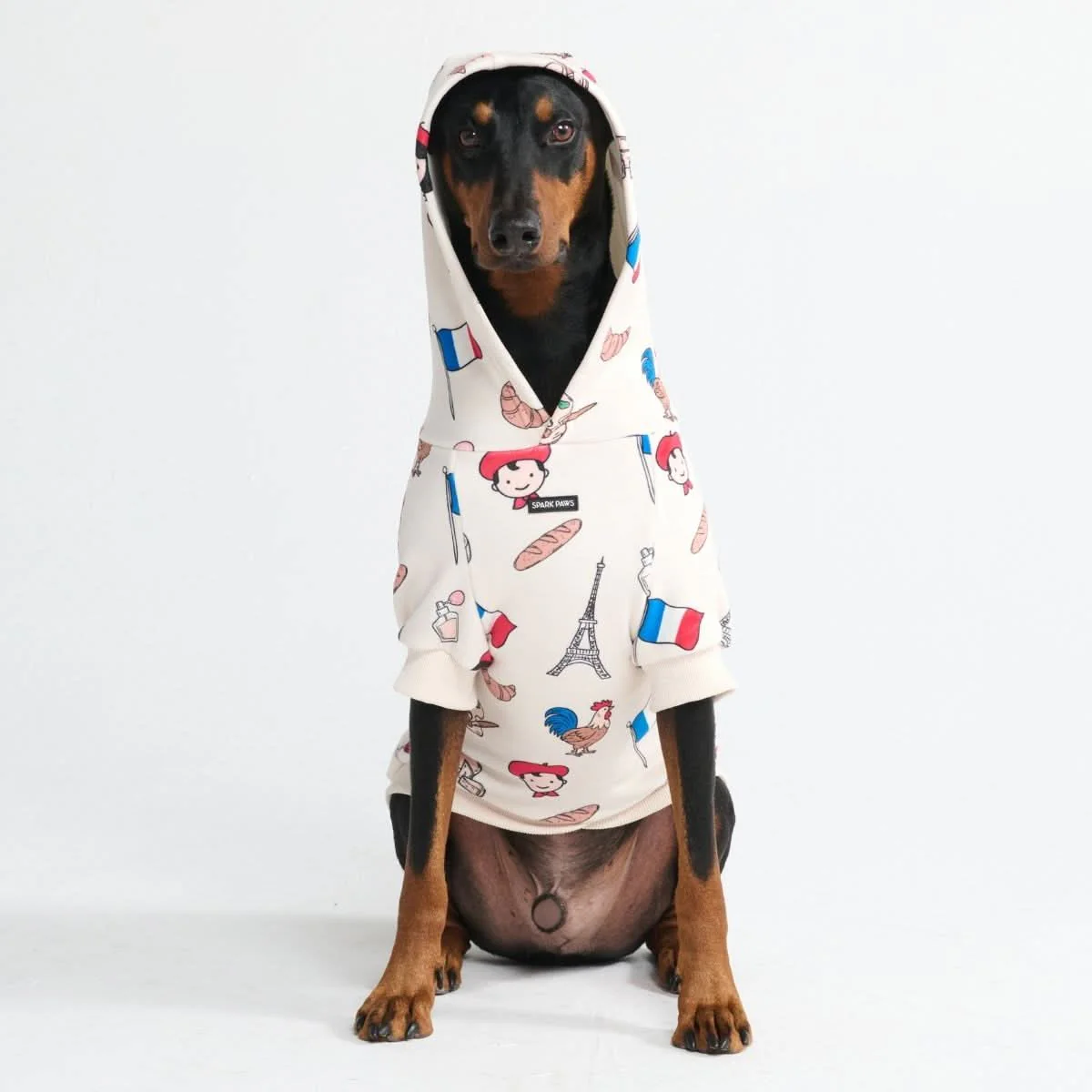 Around the World Dog Hoodies - Image 86