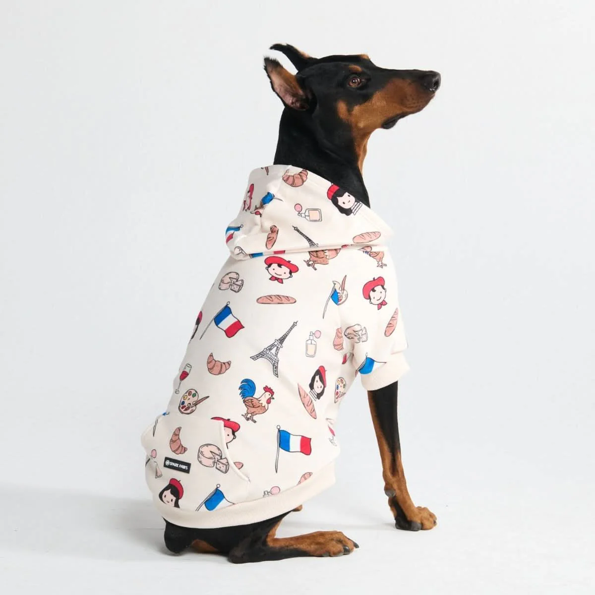 Around the World Dog Hoodies - Image 89