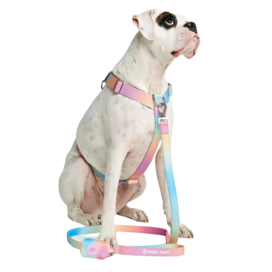 Leash and Poop Bag Holder Set - Image 9