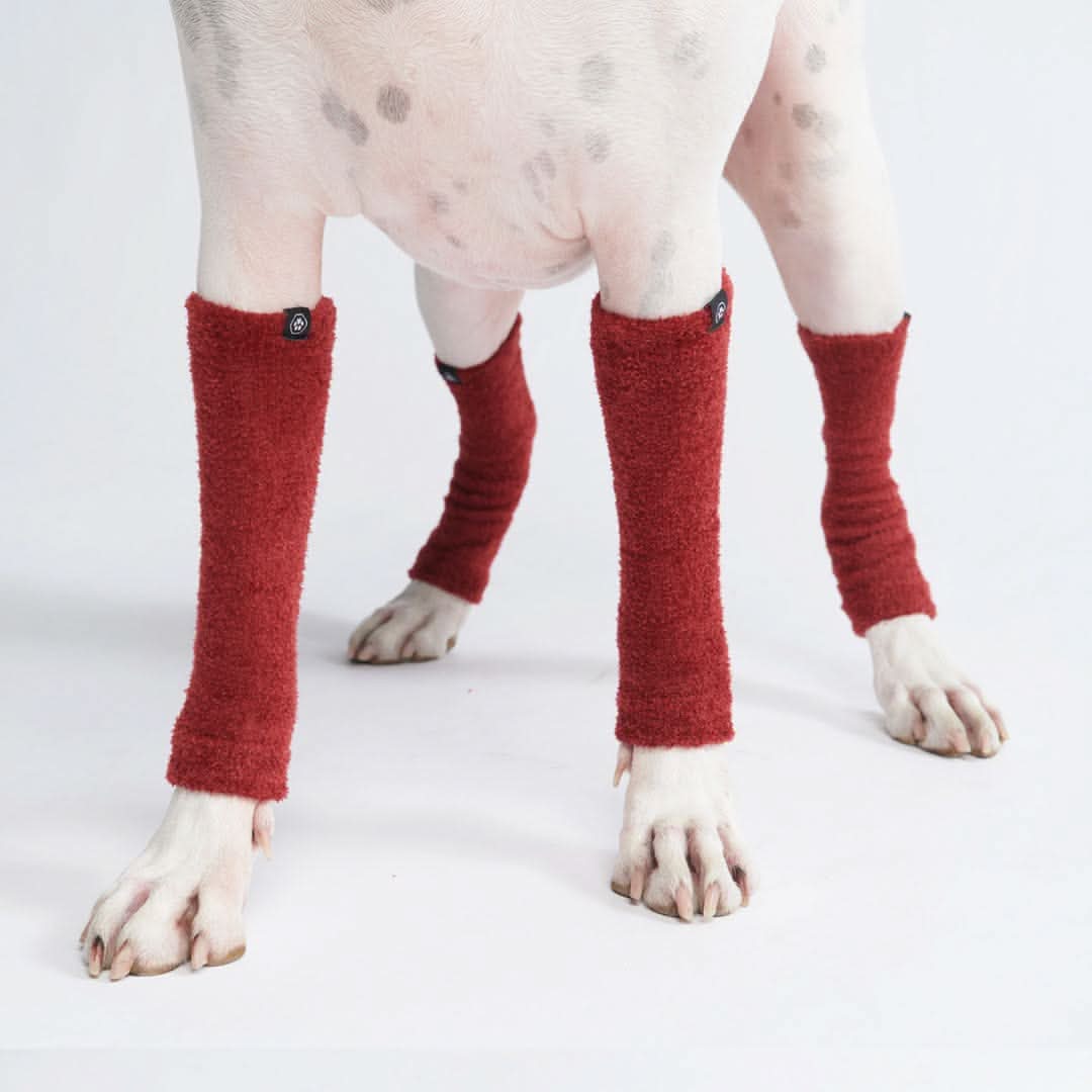 Stretchy Fleece Dog Leg Warmer Sleeves - Image 9
