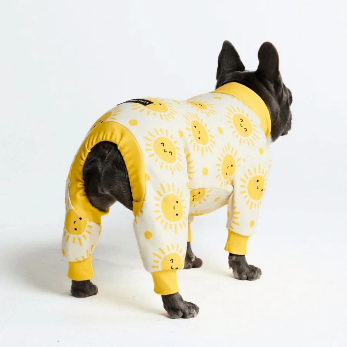 Dog Pajama Prints - Image 28