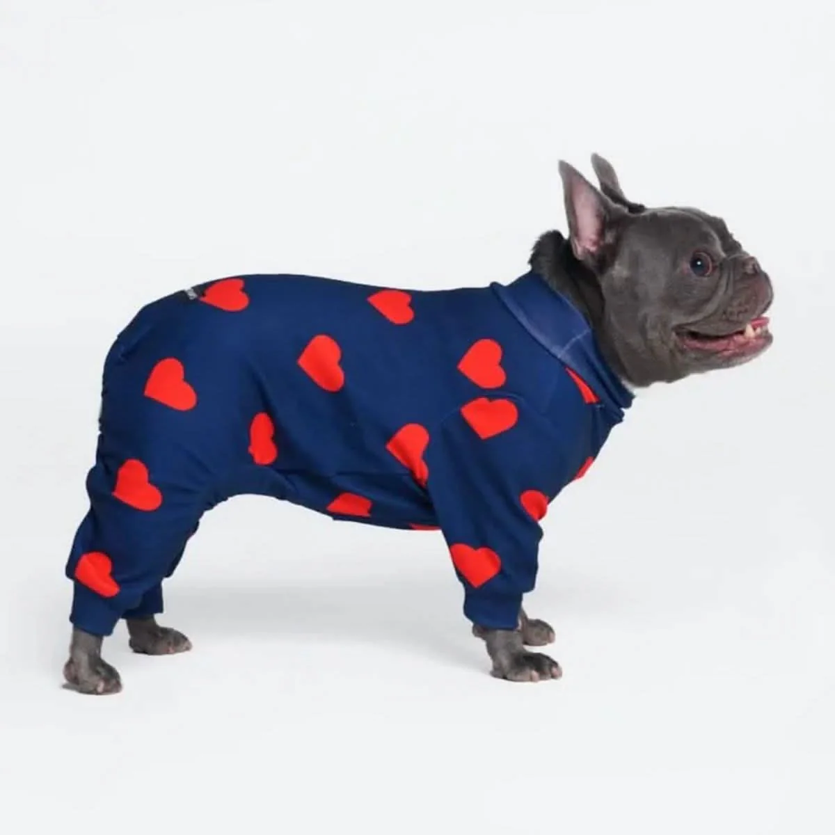 Dog Pajama Prints - Image 38