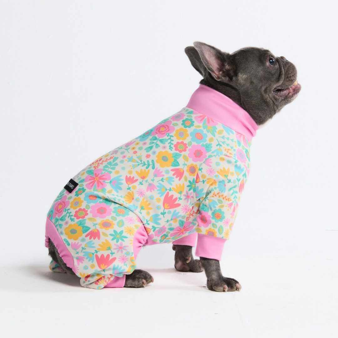 Dog Pajama Prints - Image 46