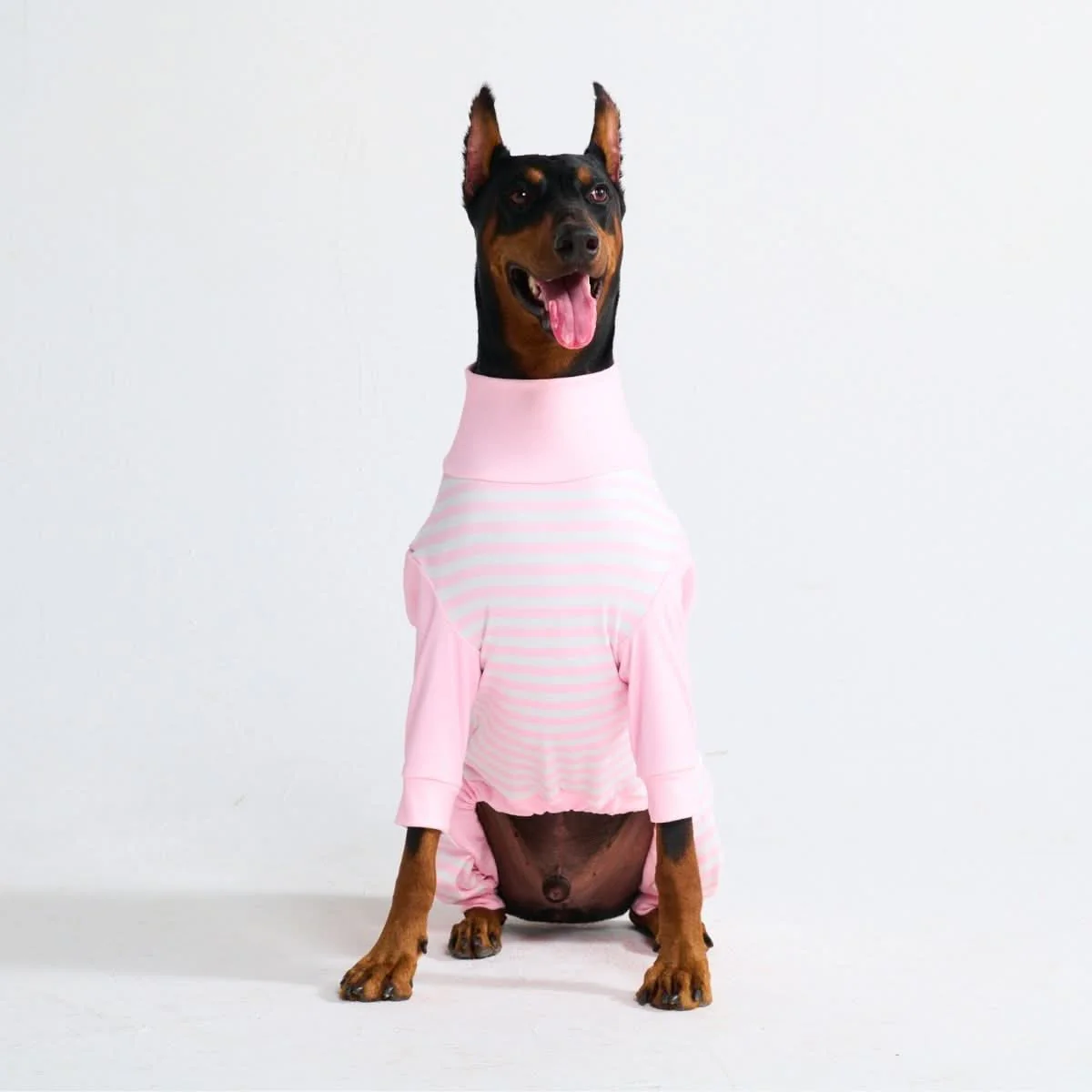 Dog Pajama Prints - Image 54