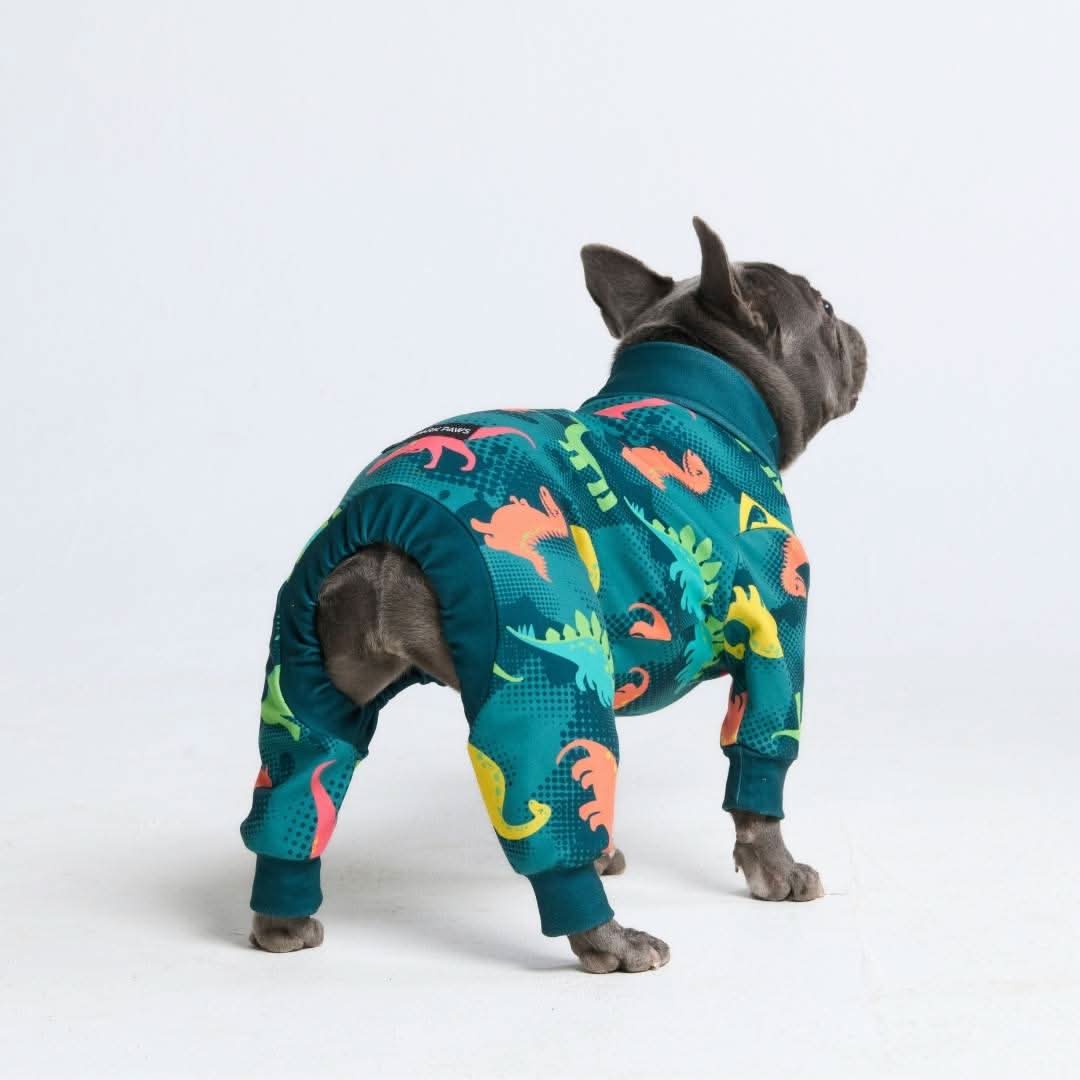 Dog Pajama - Dinosaurs - Image 8