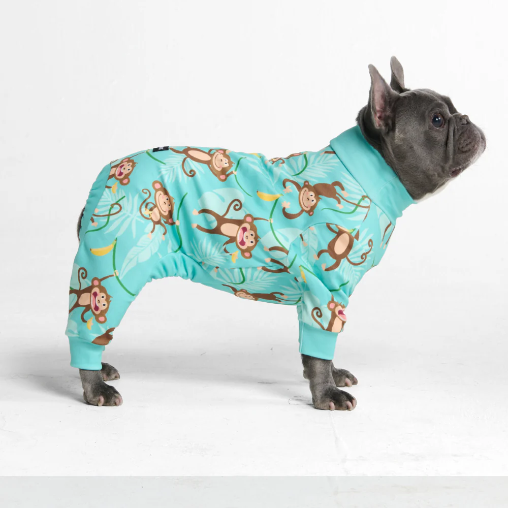 Dog Pajama Prints - Image 39