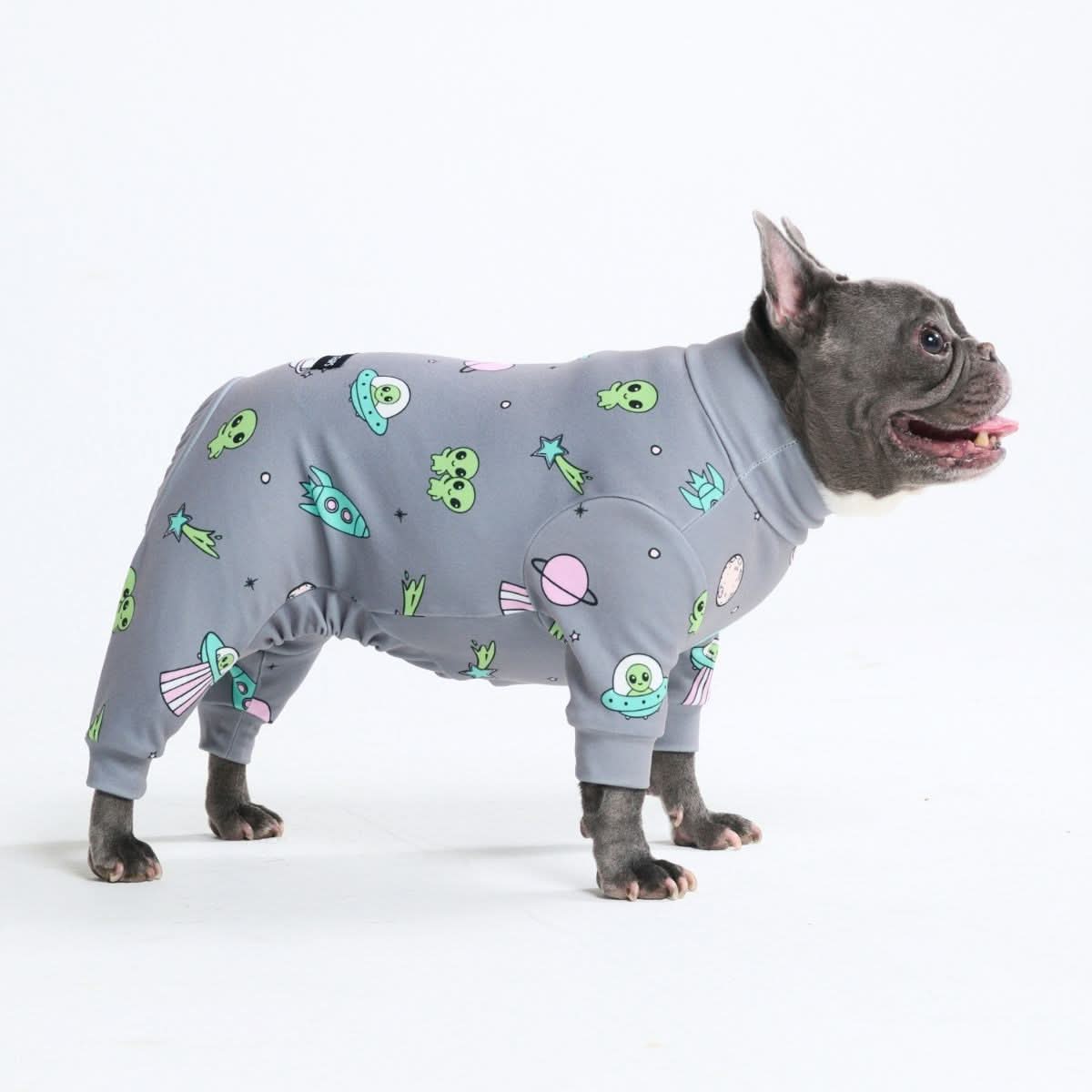 Dog Pajama Prints - Image 46