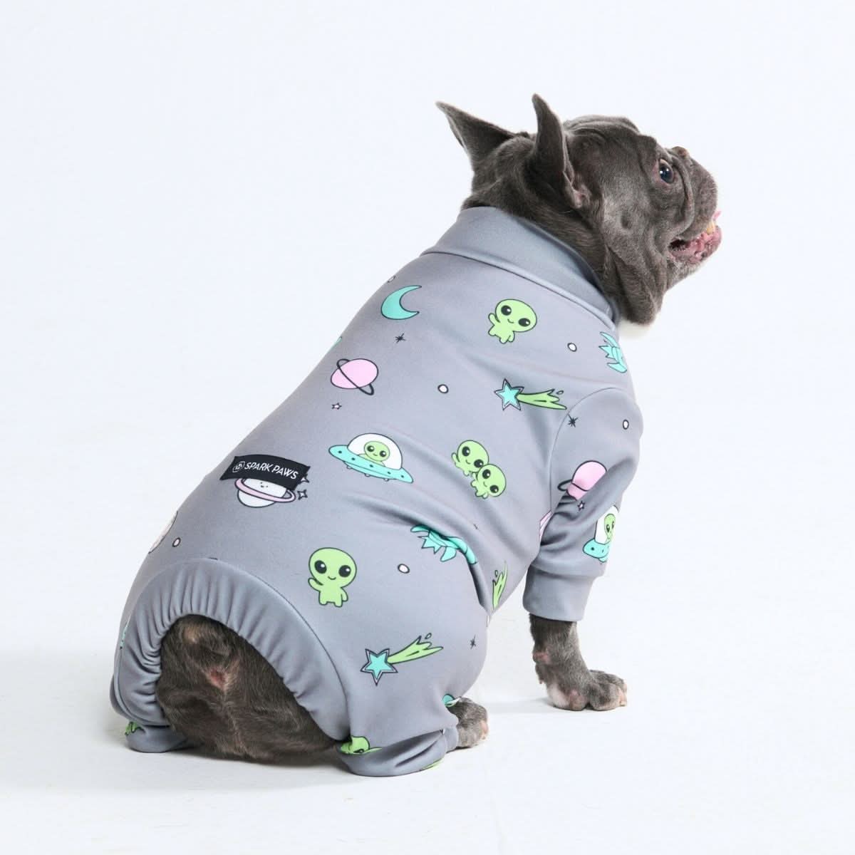 Dog Pajama Prints - Image 47