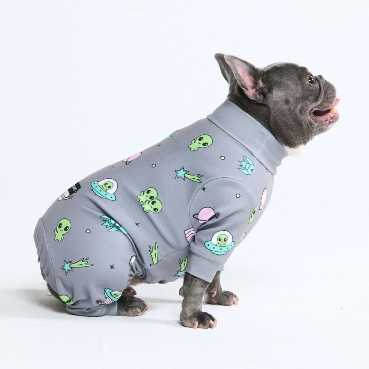 Dog Pajama Prints - Image 48