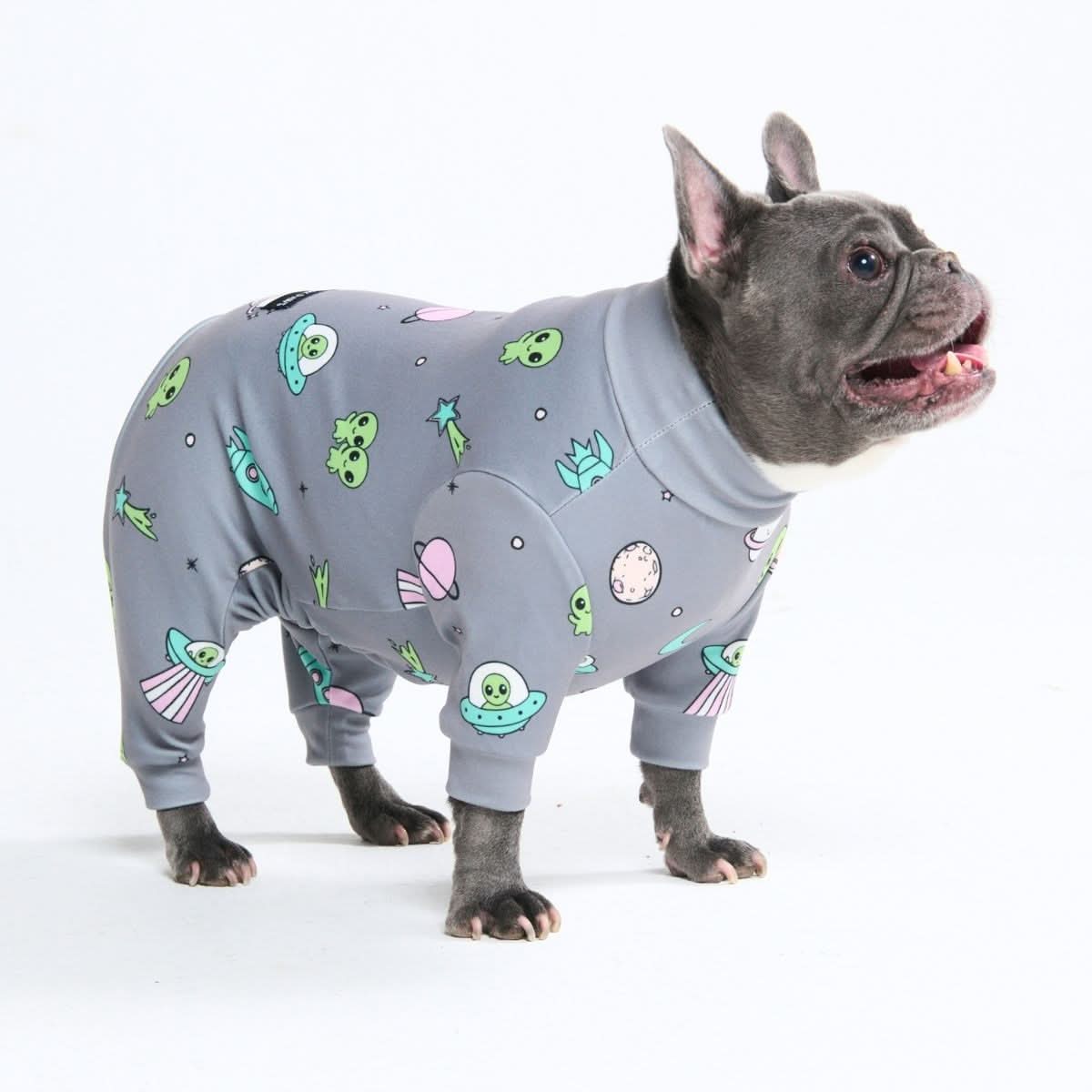 Dog Pajama Prints - Image 51